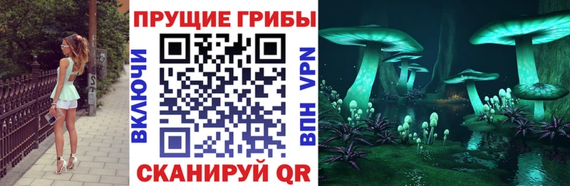 Галлюциногенные грибы Psilocybe  купить наркотик  darknet как зайти  Кашира 